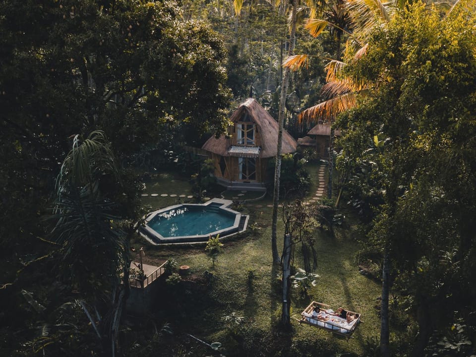 Property building, Natural landscape, Garden, Pool view, Swimming pool