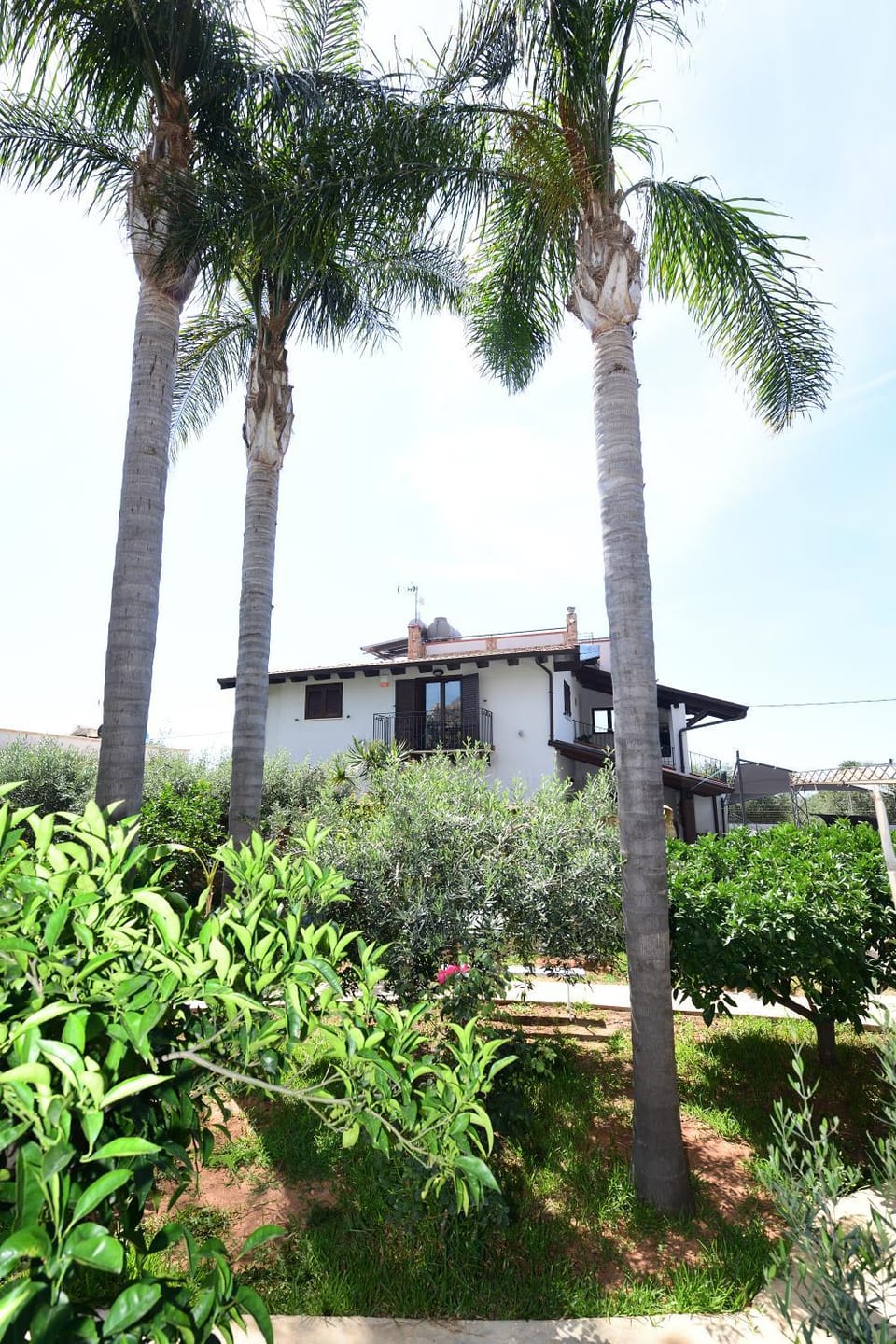 Property building, Spring, Day, Garden