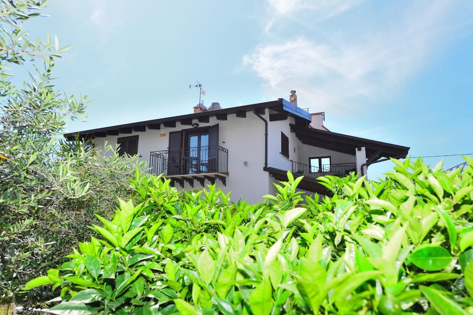 Property building, Garden, Garden view