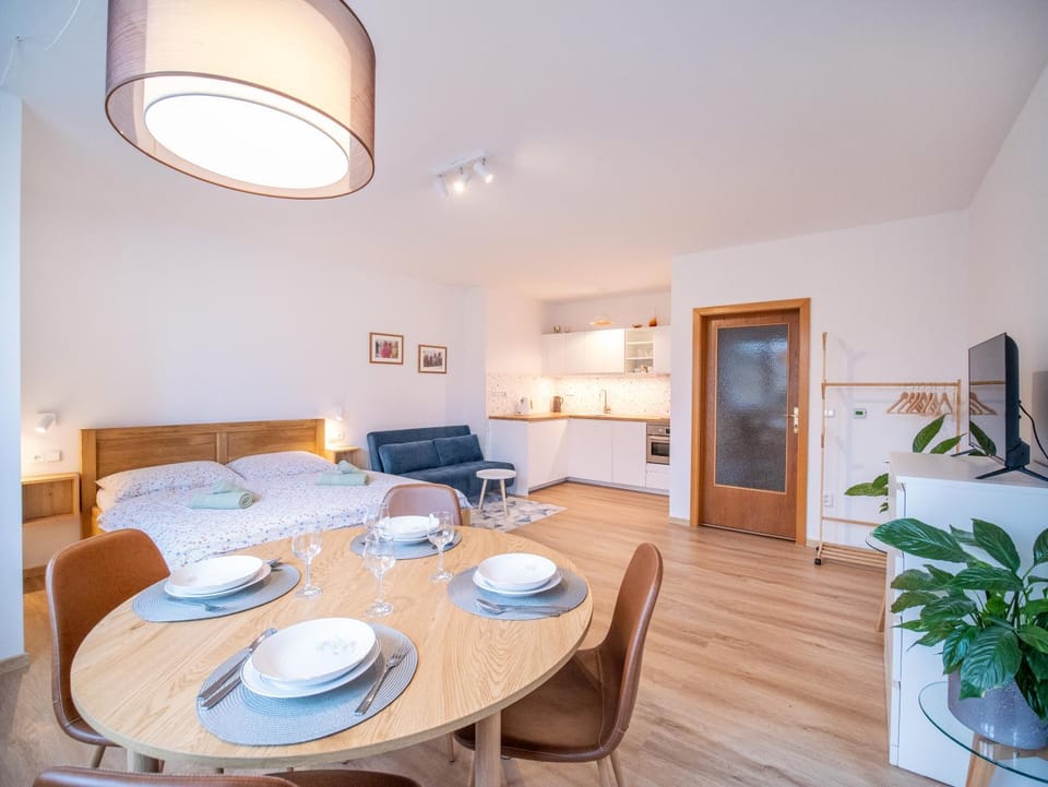 Apartmán Ve středu dění Apartment in Czechia