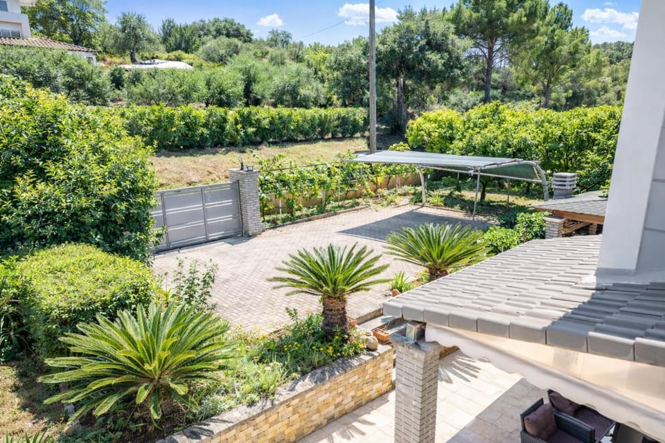Natural landscape, Garden, Garden view