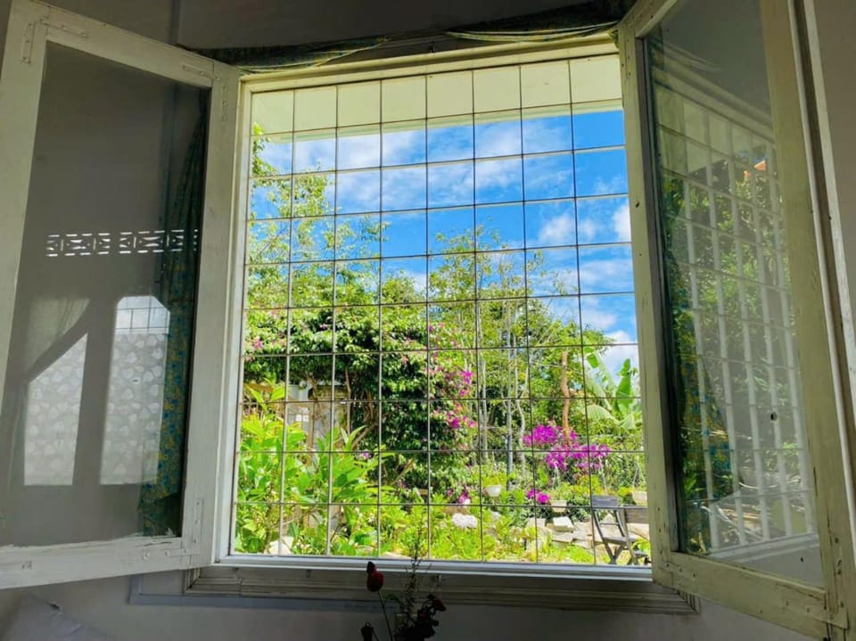 Garden view