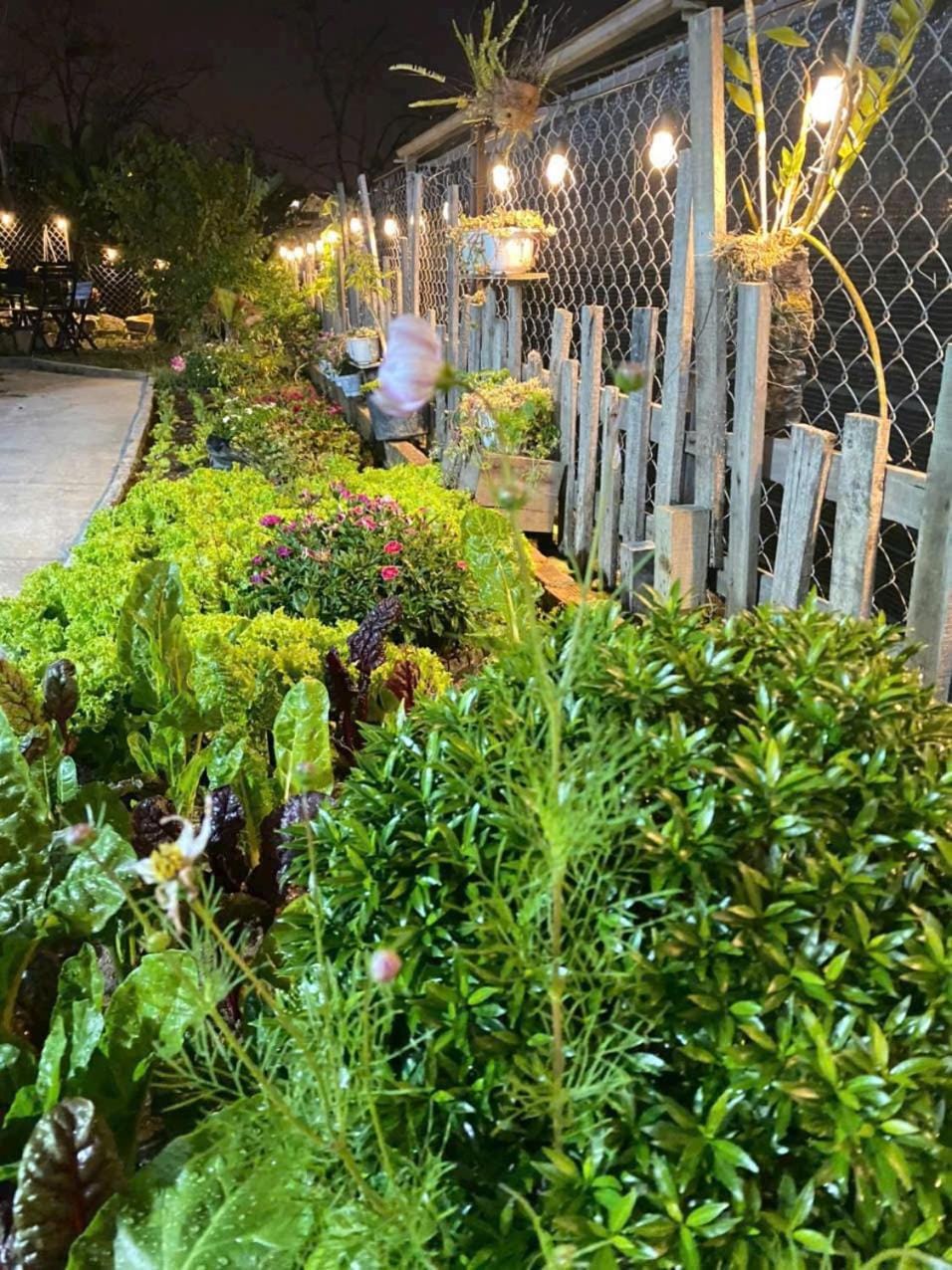 Garden, Balcony/Terrace