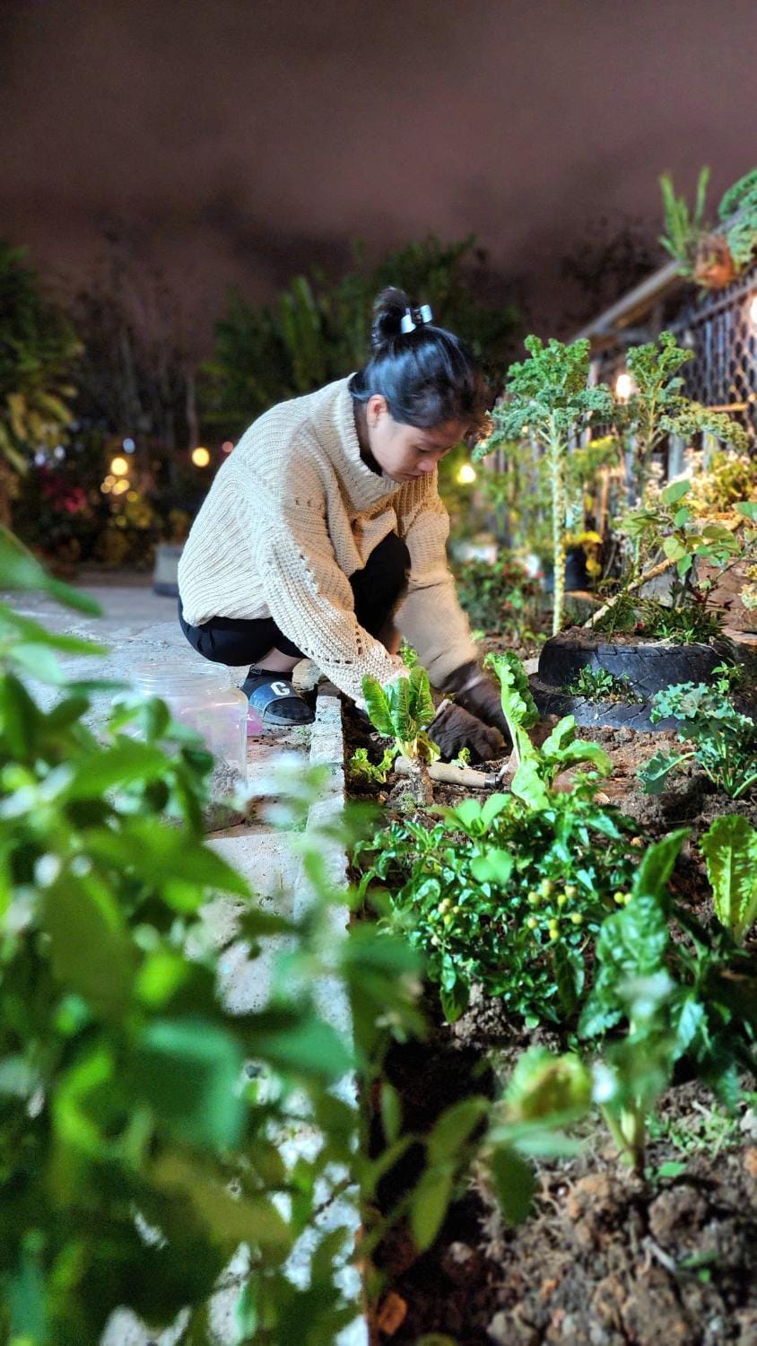 Night, Garden