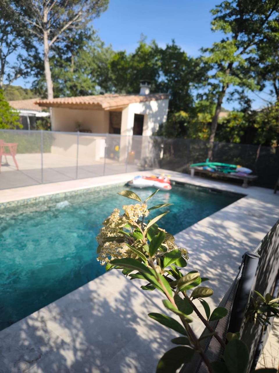 Garden, Garden view, Pool view, Swimming pool