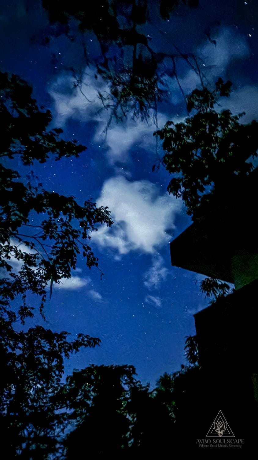 Night