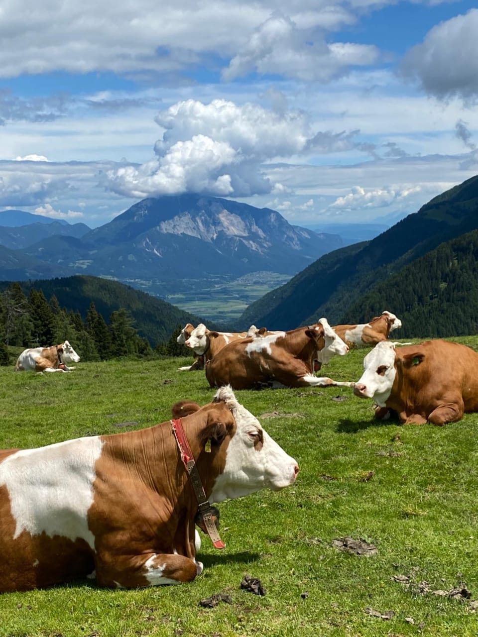 Natural landscape