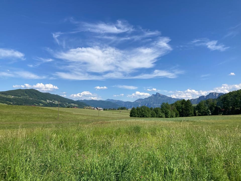 Ferienwohnung Mondsee-Irrsee Apartment in Upper Austria