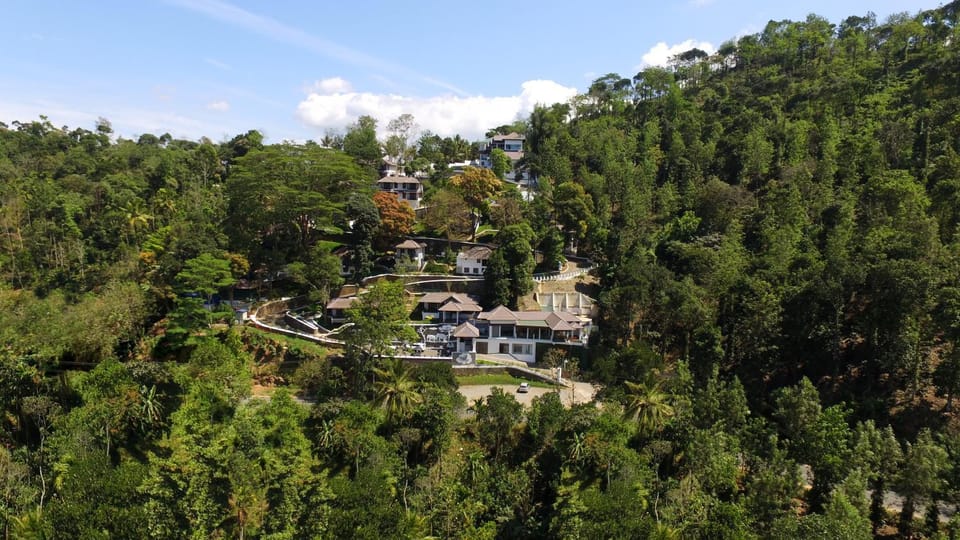 Bird's eye view, Mountain view