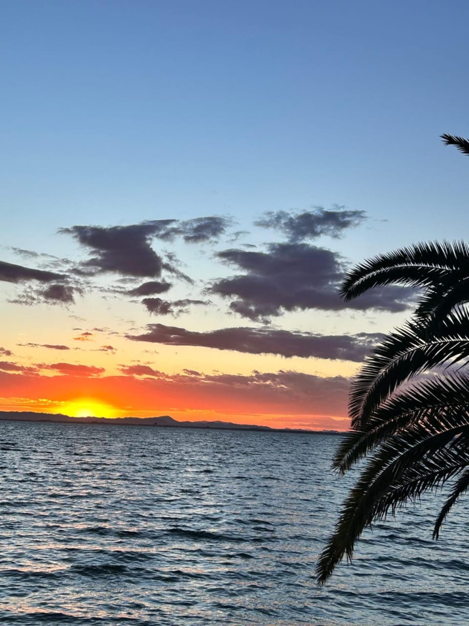 Natural landscape, Beach, Sunrise