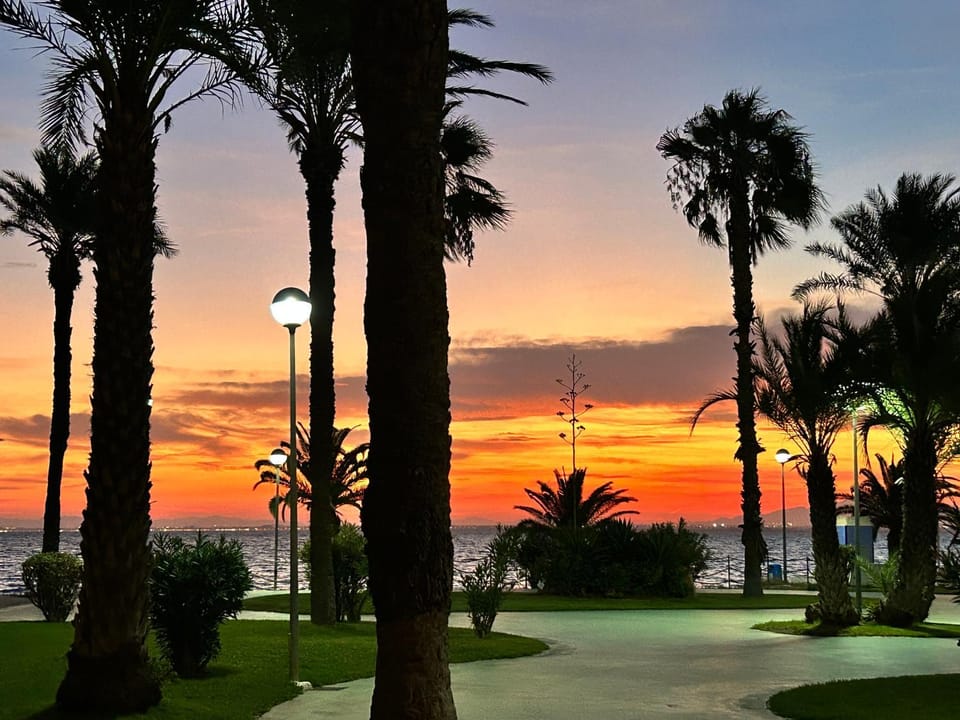 Natural landscape, Garden, Garden view, Sunset