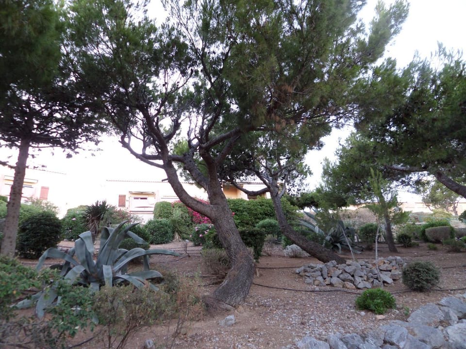 Natural landscape