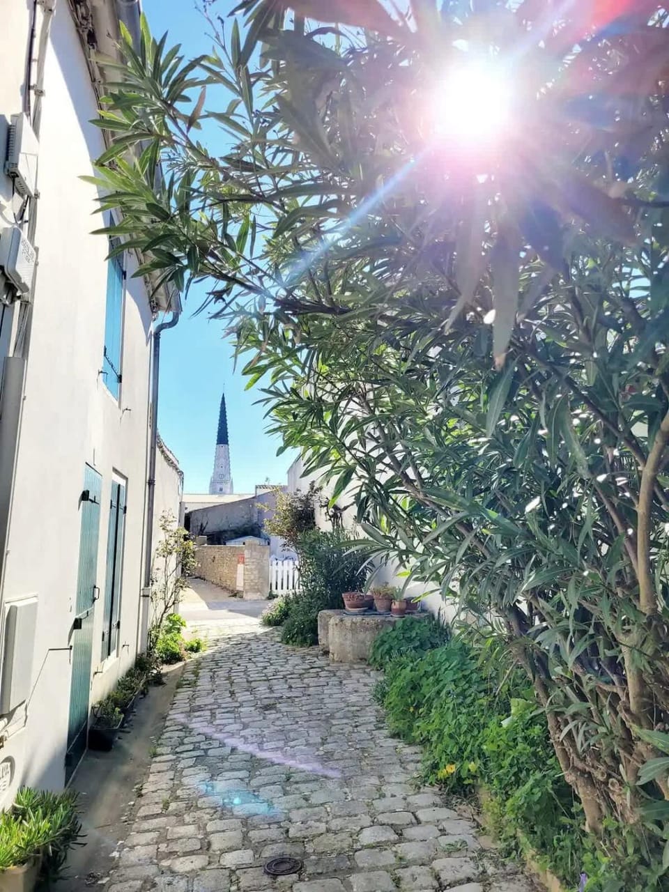 La Maison du Puits Fleuri House in Nouvelle-Aquitaine