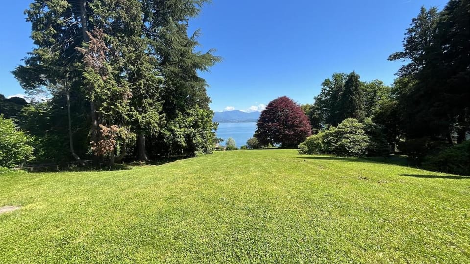 Day, Natural landscape, Garden, Garden view, Lake view