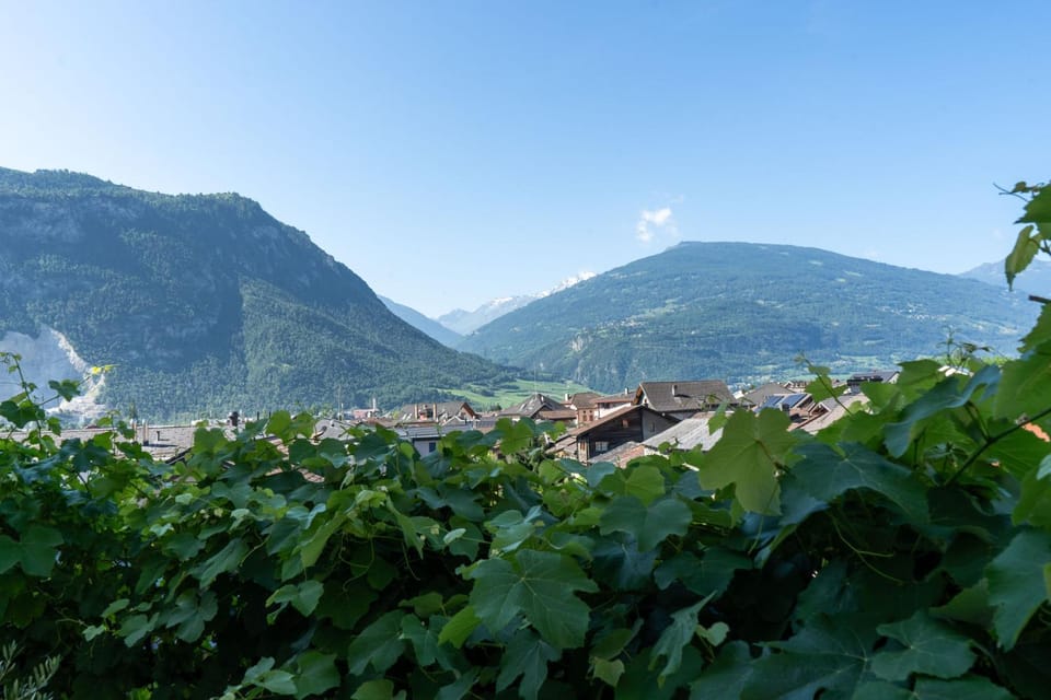 View (from property/room), Mountain view