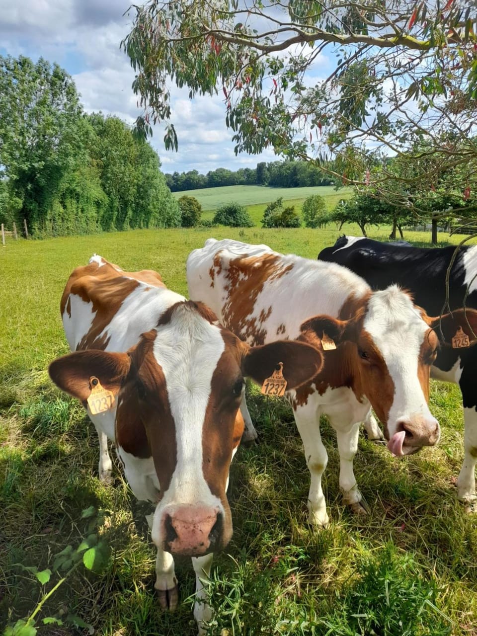 La Source Bed and Breakfast in Normandy