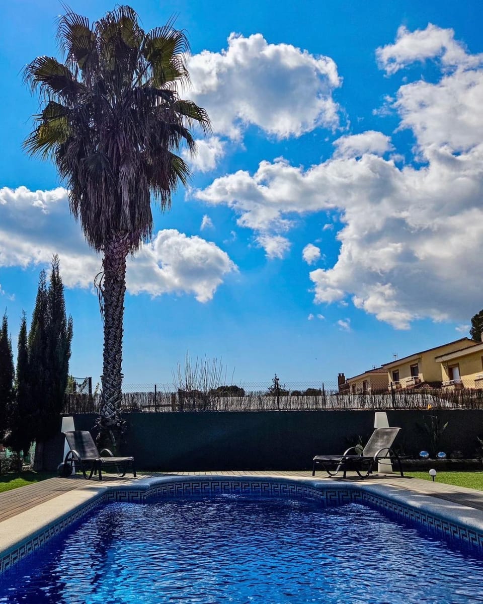 Day, Pool view, Swimming pool, sunbed