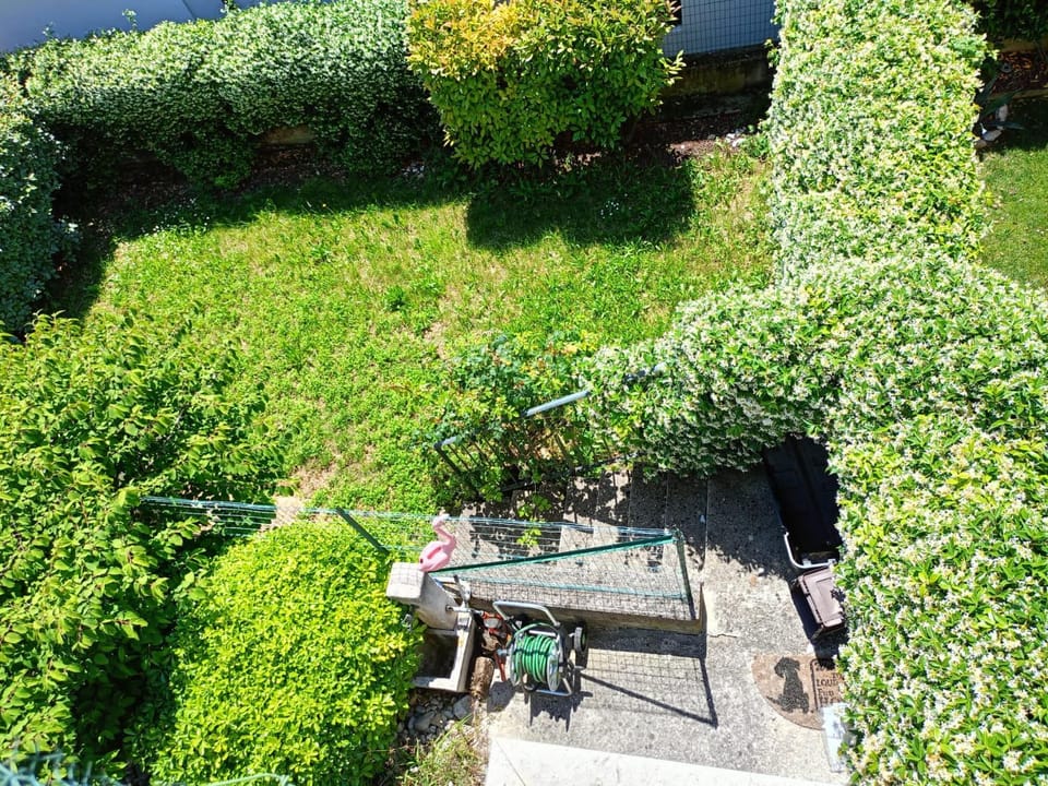 Day, Natural landscape, Garden, Garden view