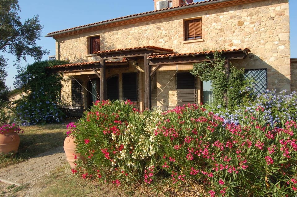 Property building, Garden, Garden view