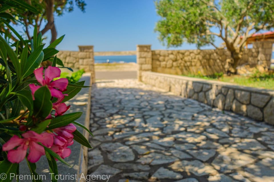 Garden, Garden, Sea view