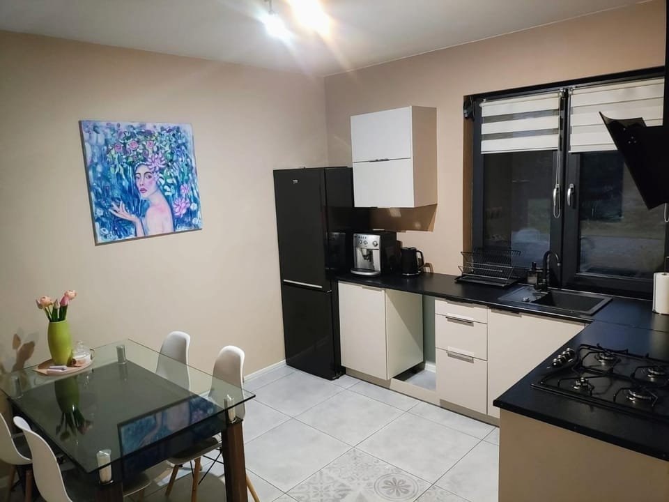 Apartament na Chmielnej Apartment in Greater Poland Voivodeship
