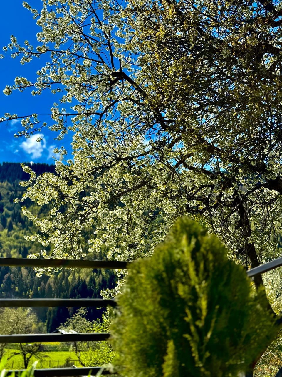 Nearby landmark, Natural landscape, Mountain view