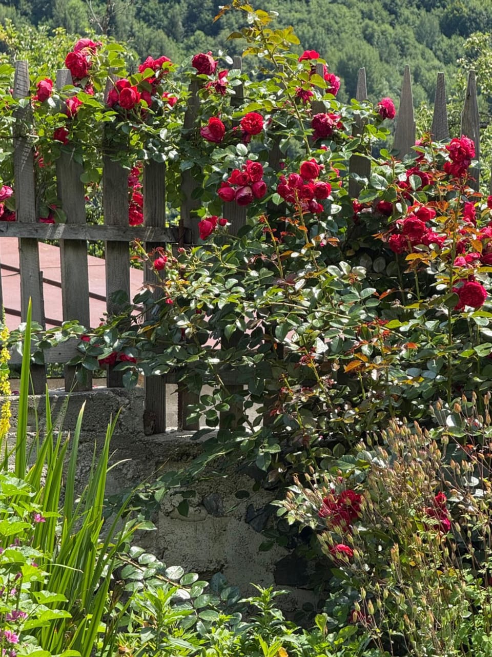 Cozy-Corner Guesthouse Bed and Breakfast in Georgia