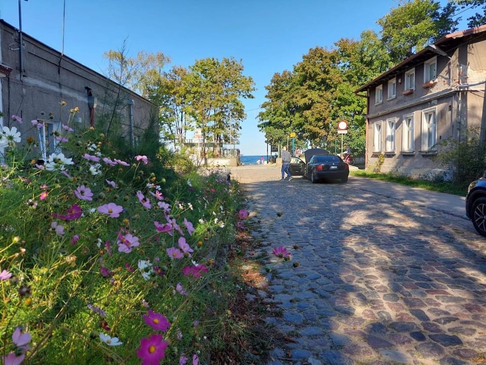 Neighbourhood, Street view