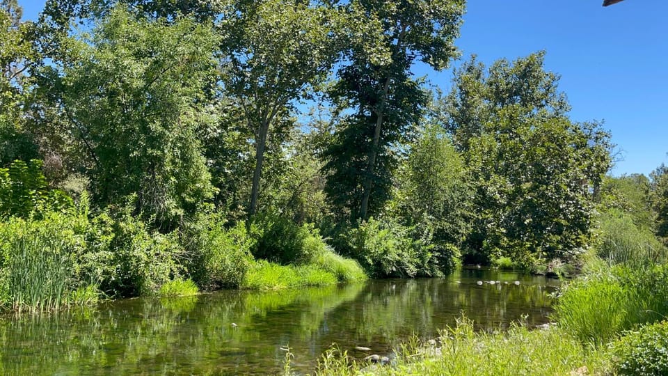 River view