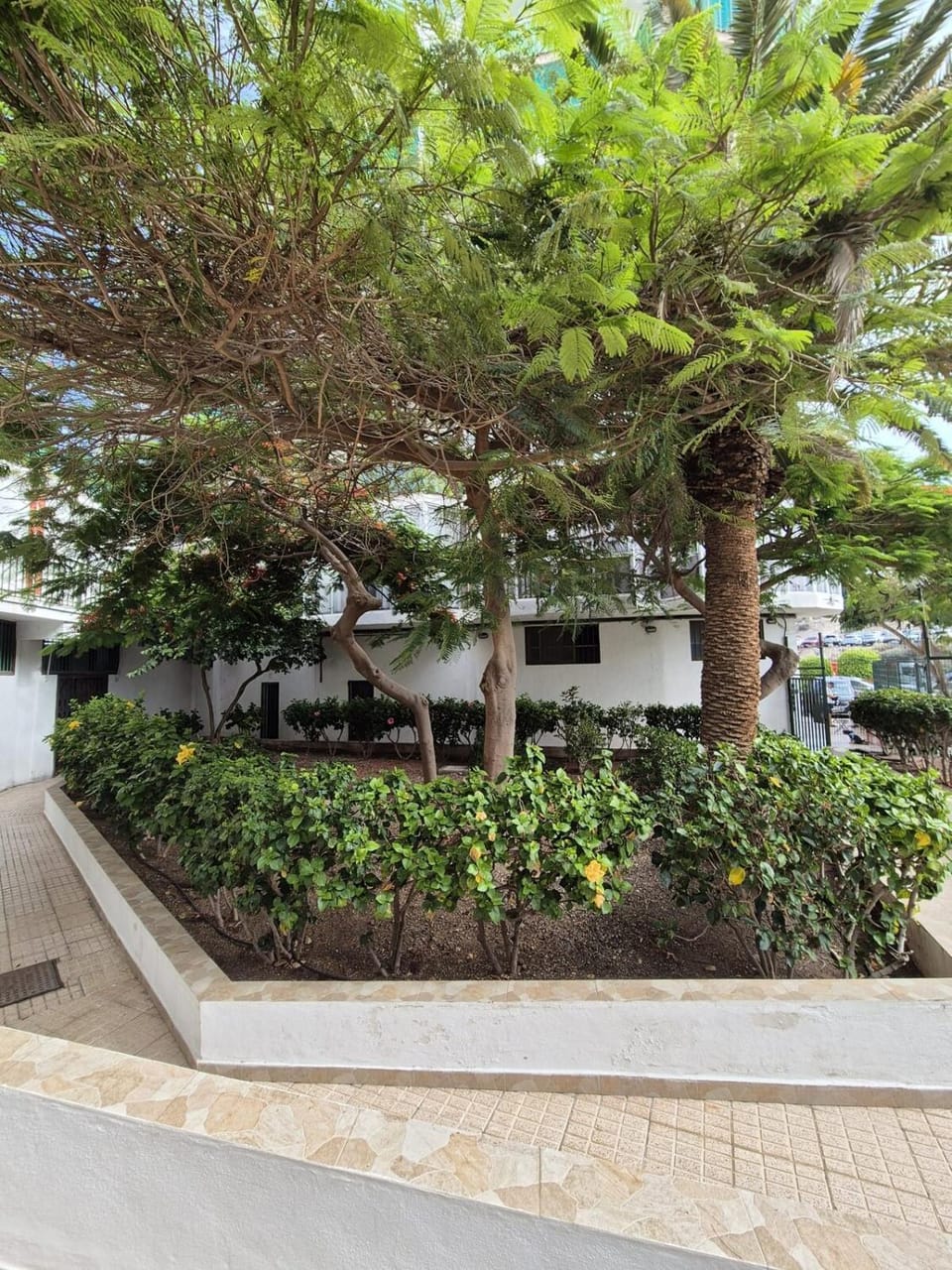 Garden, Garden