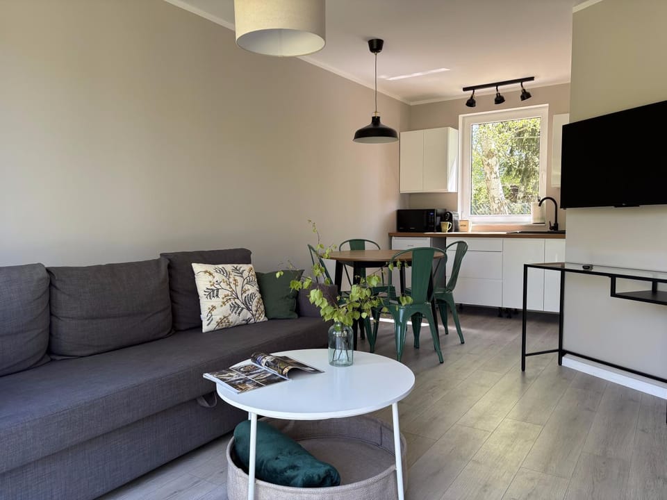 TV and multimedia, Kitchen or kitchenette, Living room, Dining area, Evening entertainment