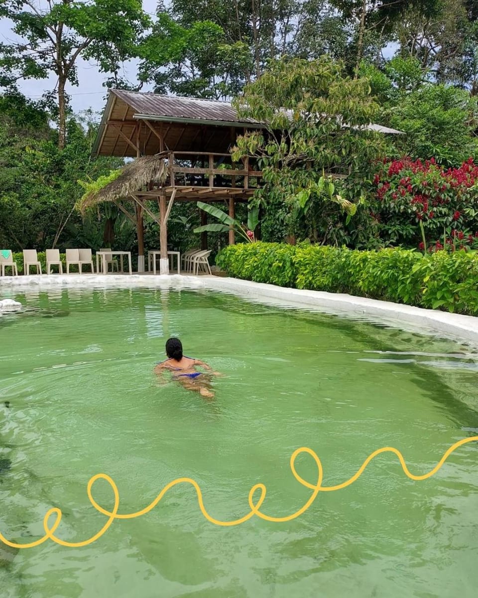 Swimming pool