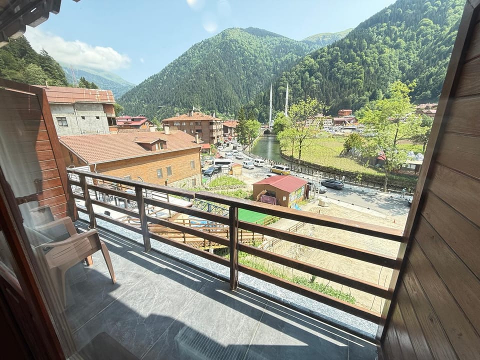Natural landscape, View (from property/room), Balcony/Terrace, Mountain view