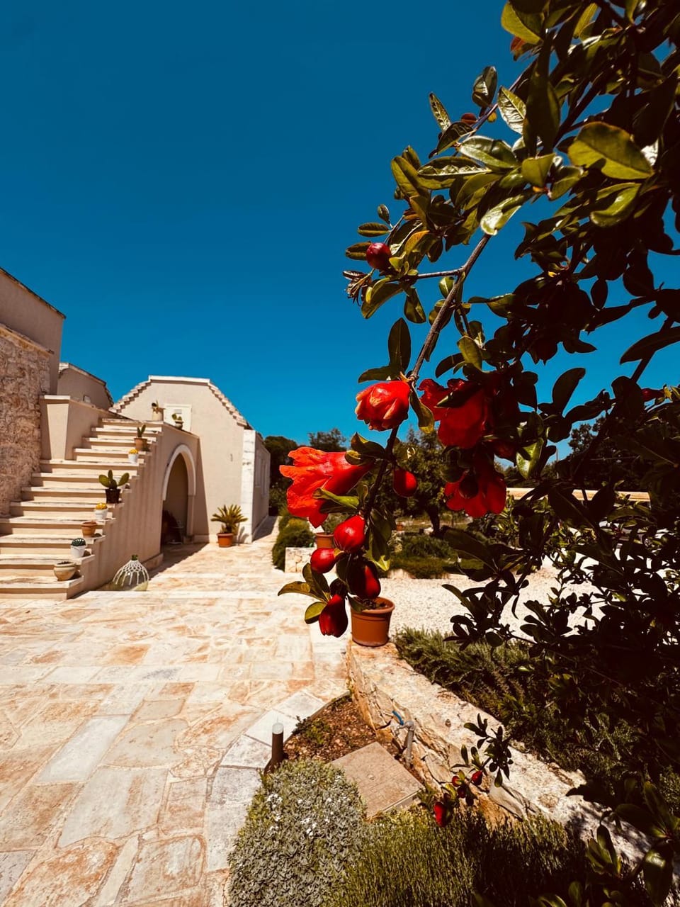 A casa di Claudia Bed and Breakfast in Martina Franca