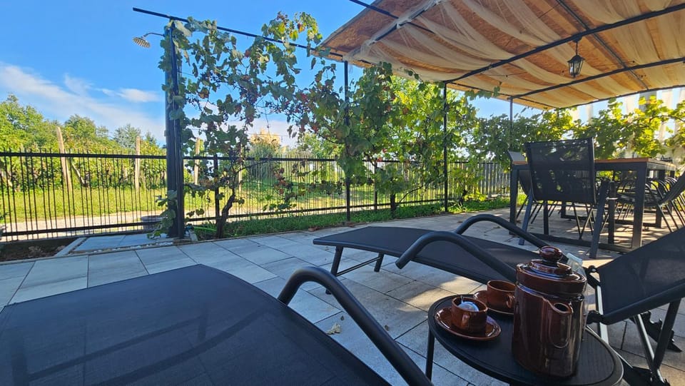 Patio, Day, View (from property/room), sunbed