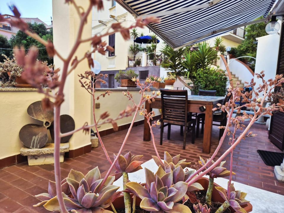 Patio, Day, Garden view