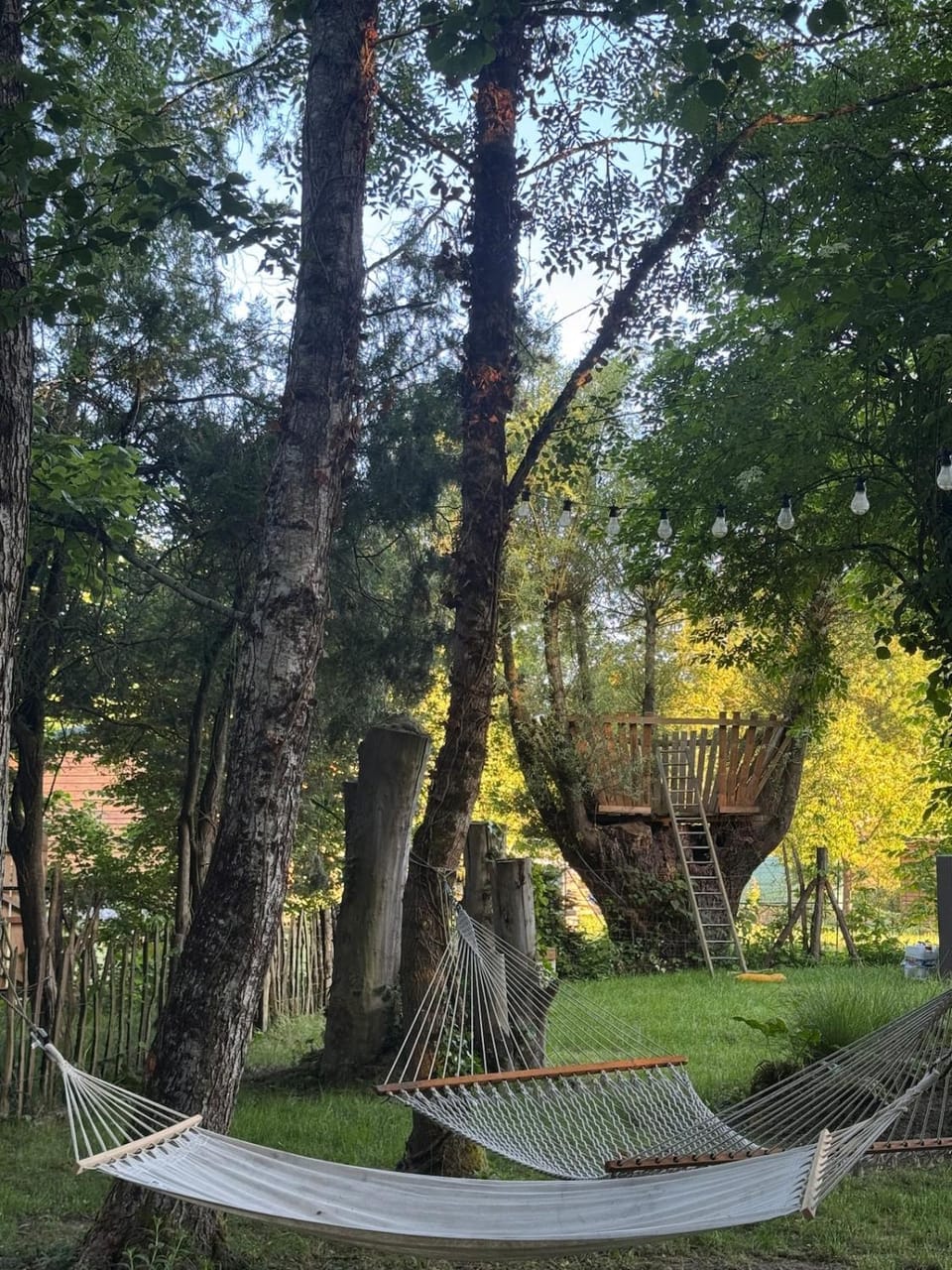 Natural landscape, Garden, Garden view