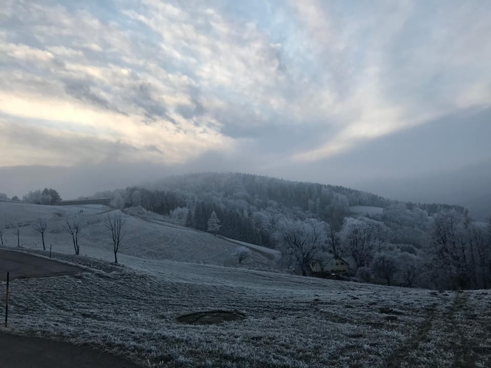 Natural landscape