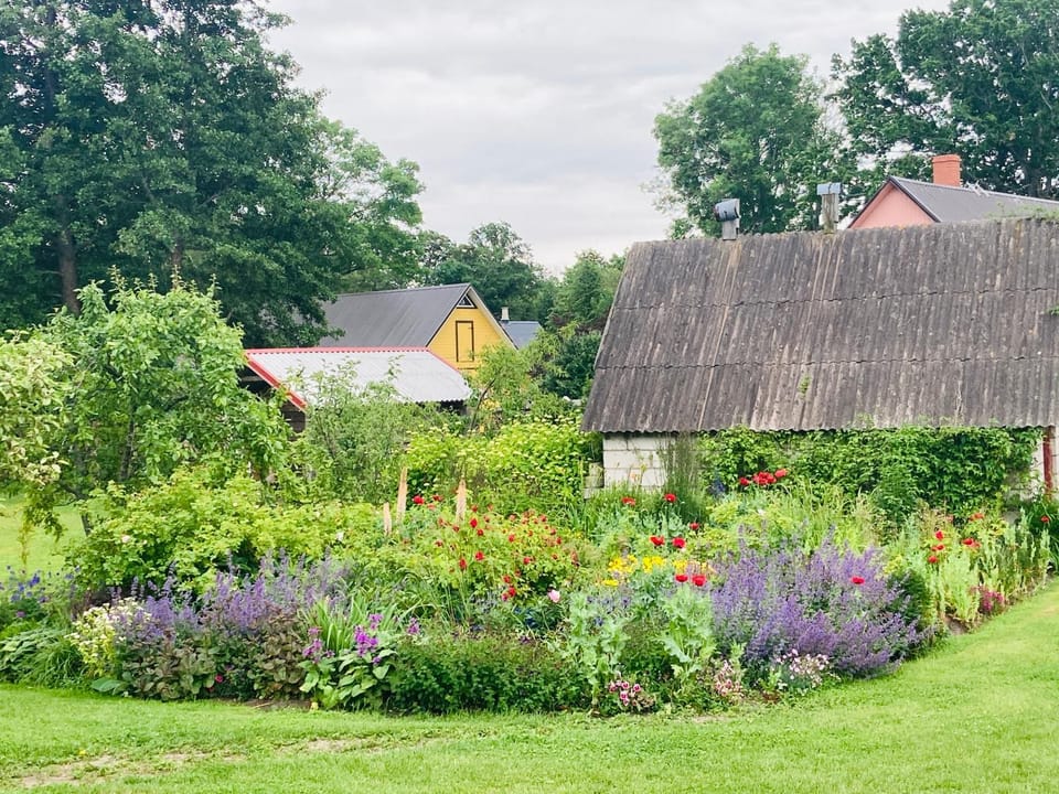 Garden view