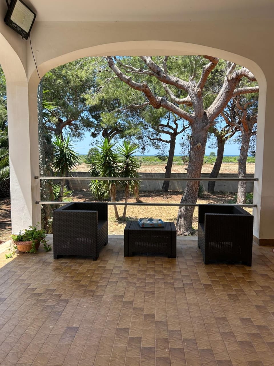 Garden view