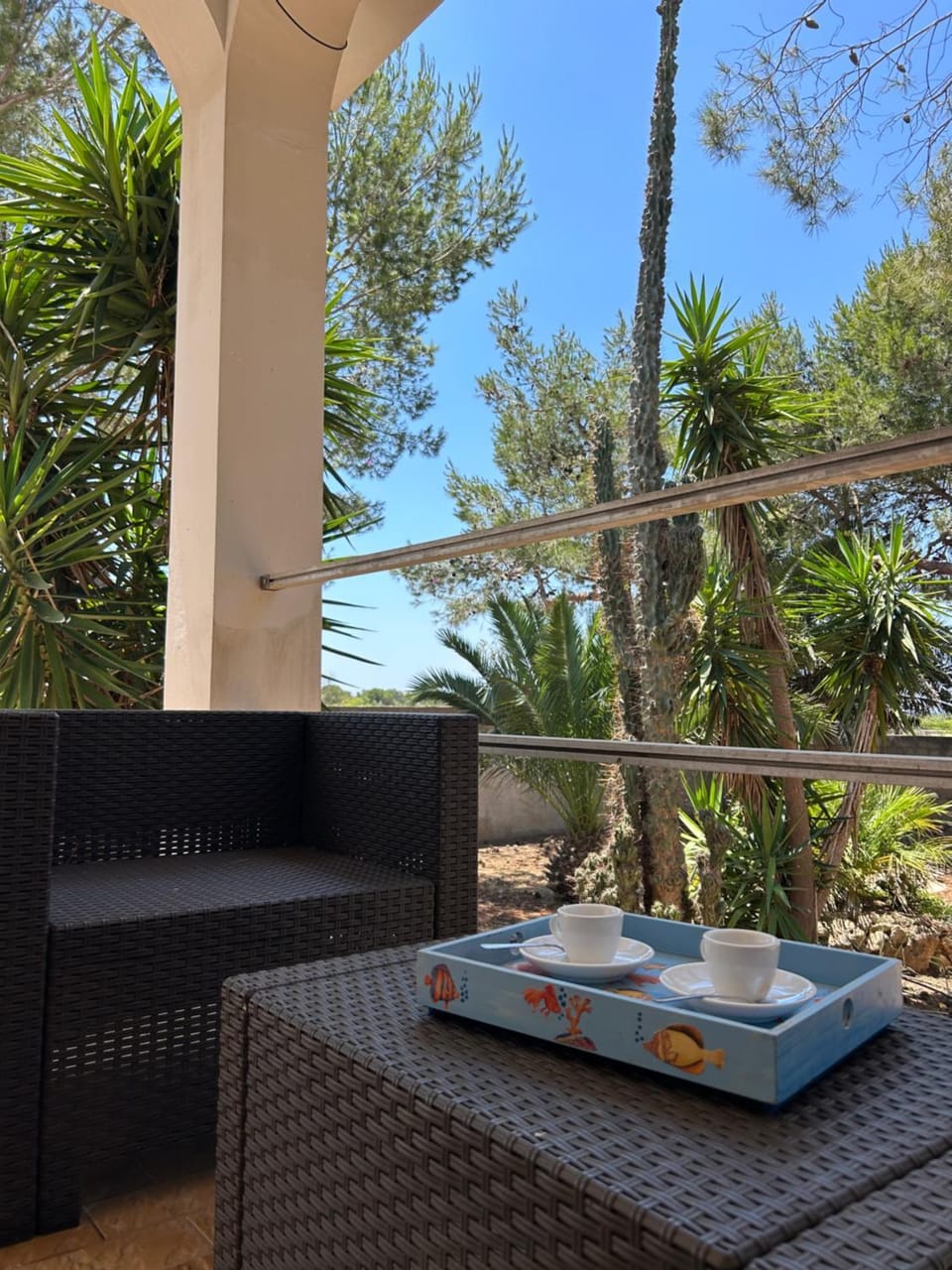 Garden view