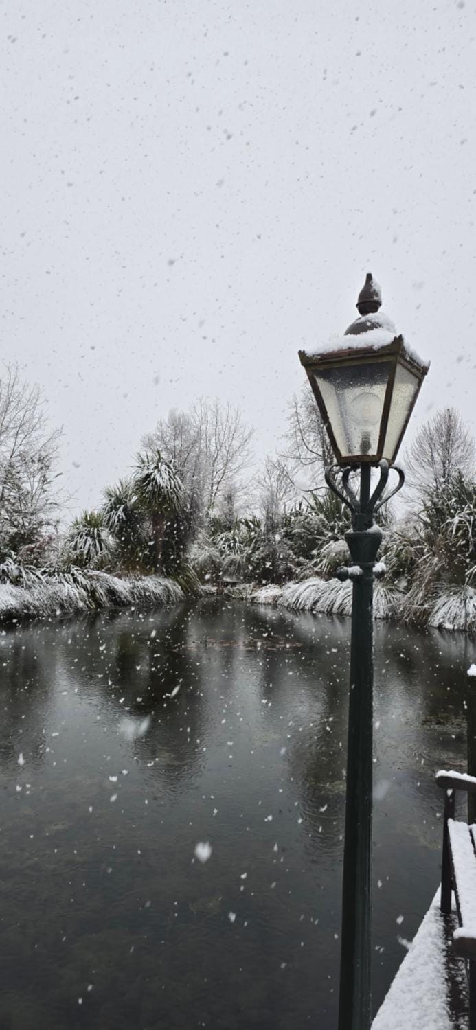 Natural landscape, Winter