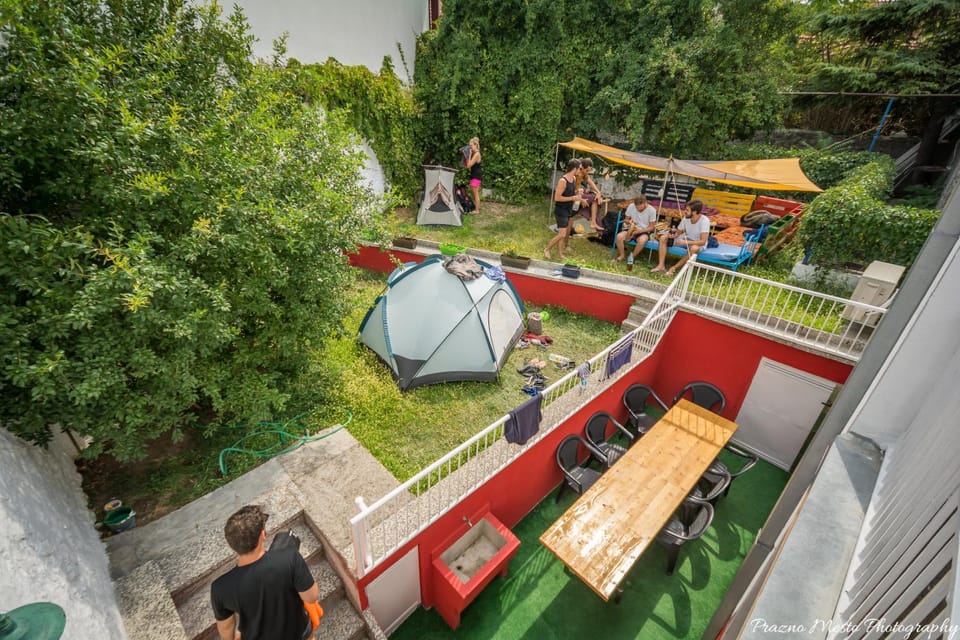 Garden, group of guests