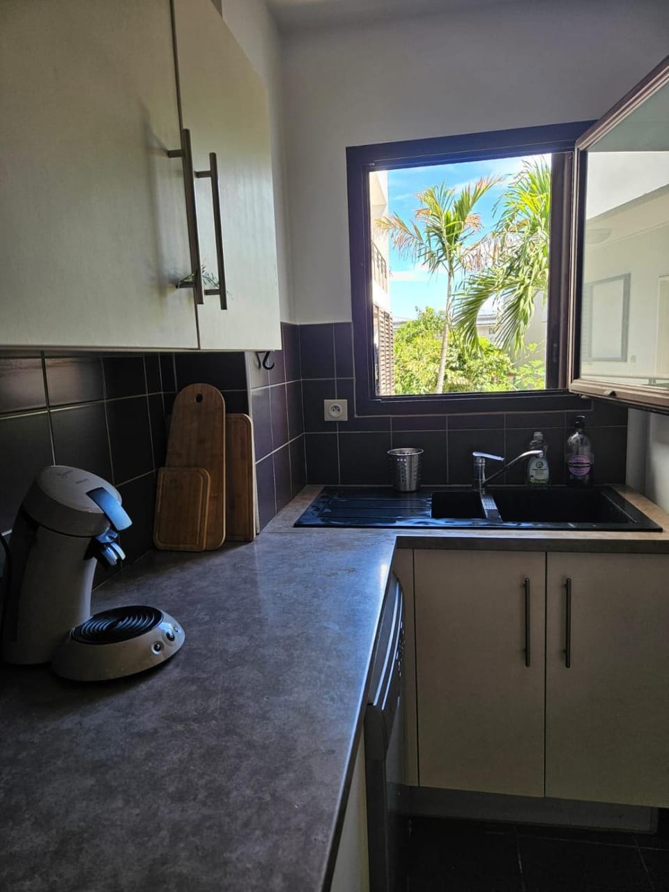 Coffee/tea facilities, Garden view, dishwasher, stove, kitchen