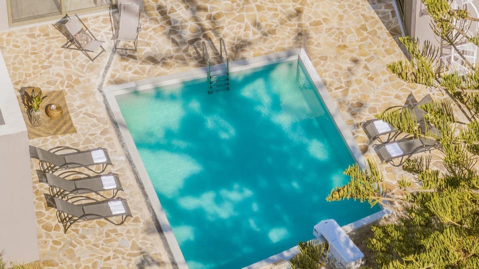 Day, Summer, Garden, Garden view, Pool view, Swimming pool, Swimming pool, Inner courtyard view, VIP