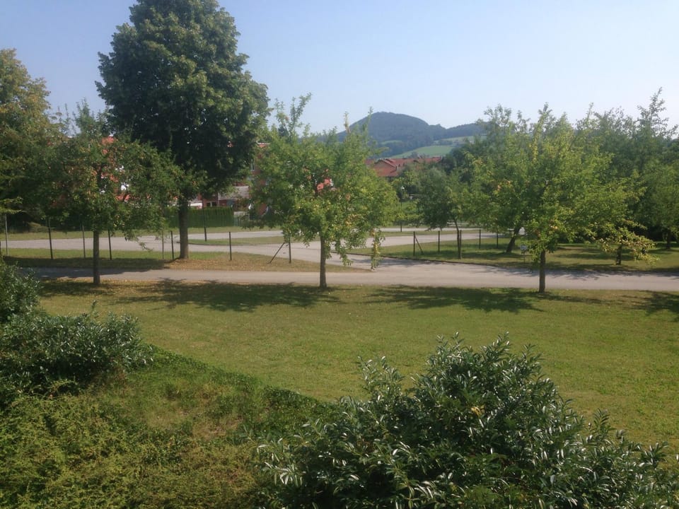 Other, Area and facilities