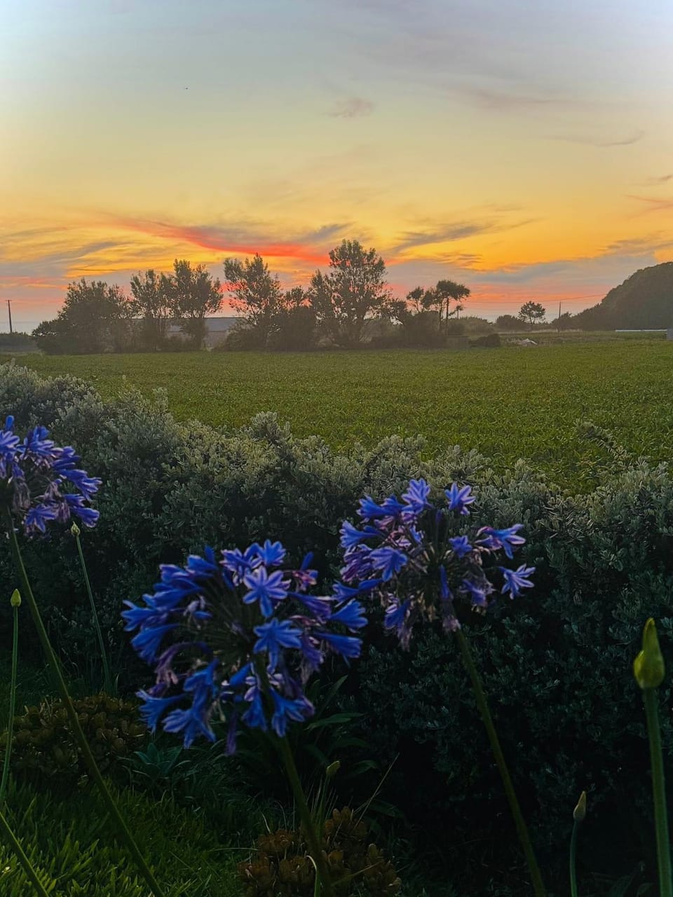Off site, Garden view