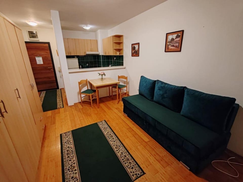 Stan na dan Bulevar Apartment in Novi Sad