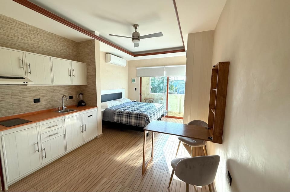 Kitchen or kitchenette, Photo of the whole room, stove