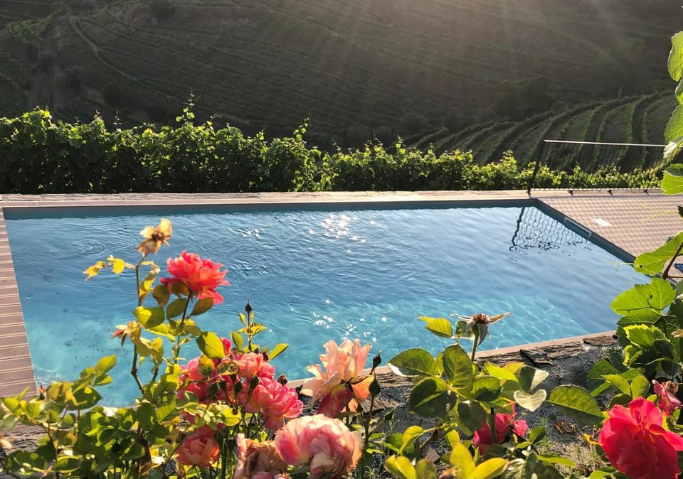 Quinta do Barrocal - Casa de Campo House in Vila Real District